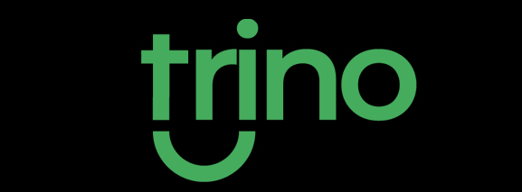 https://trinopagamentos.com